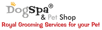 dog-spa